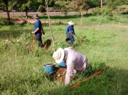 El Bosque Comunitario Guadalajara, el Colectivo Defendamos el Cerro de la Reina, el Colectivo Foco Tonal de Santa Cruz de las Huertas y el Colectivo Tonalá, fueron algunas de las organizaciones quienes participaron en las actividades. CORTESÍA /Colectivo 'Defendamos el Cerro de la Reina'