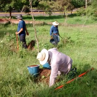Colectivos se suman a la reforestación del Cerro de la Reina; impulsan talleres para producir más árboles