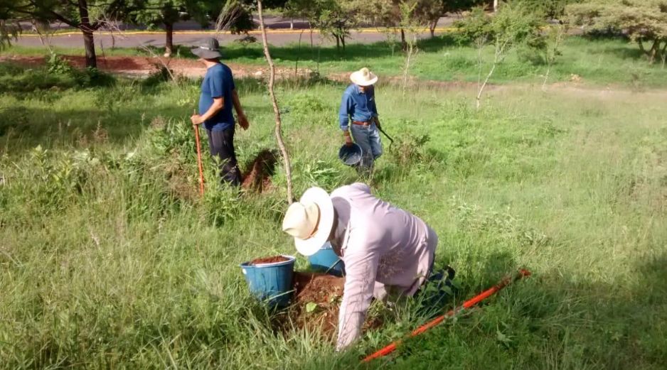 El Bosque Comunitario Guadalajara, el Colectivo Defendamos el Cerro de la Reina, el Colectivo Foco Tonal de Santa Cruz de las Huertas y el Colectivo Tonalá, fueron algunas de las organizaciones quienes participaron en las actividades. CORTESÍA /Colectivo 'Defendamos el Cerro de la Reina'