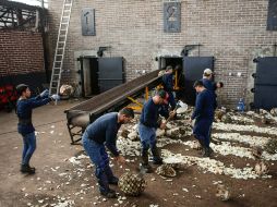 México, dentro de los países que más trabajan en el mundo. EL INFORMADOR / ARCHIVO