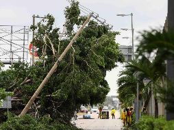 La CFE informa que conforme al pronóstico de la trayectoria del ciclón, y de los radios de influencia de los vientos del mismo, desde ayer se está llevando a cabo varias actividades. SUN / ARCHIVO