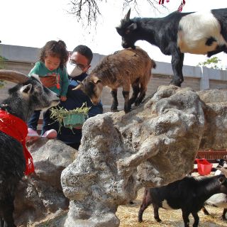 Descubre los mejores lugares para convivir con animales en Guadalajara