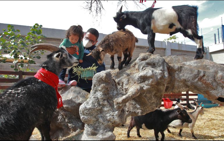 Encuentra aquí las mejores opciones para conectar con los animales sin salir de la ciudad. EL INFORMADOR / ARCHIVO