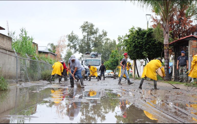 Hasta el momento no se ha informado si se brindarán apoyos por parte del municipio respecto del menaje de las viviendas. 
