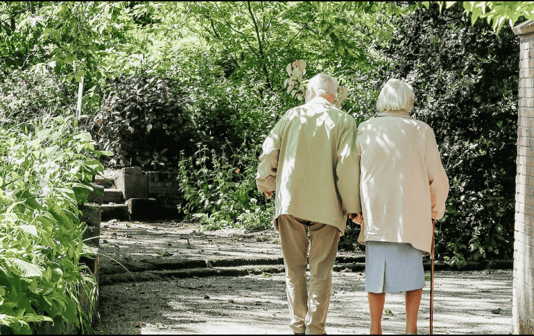 El INAPAM tiene albergues para adultos mayores y si desea ingresar a uno, estos son los requisitos. Unsplash.