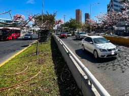 La regidora de Morena Mariana Fernández, cuestionó que en la propuesta de Ley de Ingresos para el 2024 en Guadalajara se contemplen multas por exceso de velocidad. EL INFORMADOR / ARCHIVO