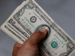 Hoy, el dólar inició la jornada por debajo de la barrera de los 17 pesos. EFE / ARCHIVO