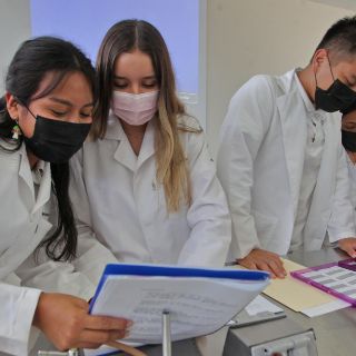 Carreras universitarias con mayor empleo: Estas son las 5 primeras en México