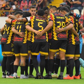 Leones Negros presentan a su séptimo refuerzo