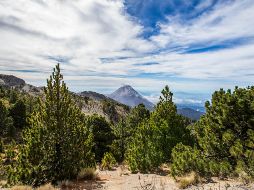 El Volcán de Colima también es llamado el Volcán de Fuego de Colima para diferenciarlo de su vecino, el Volcán Nevado de Colima. NTX / ARCHIVO