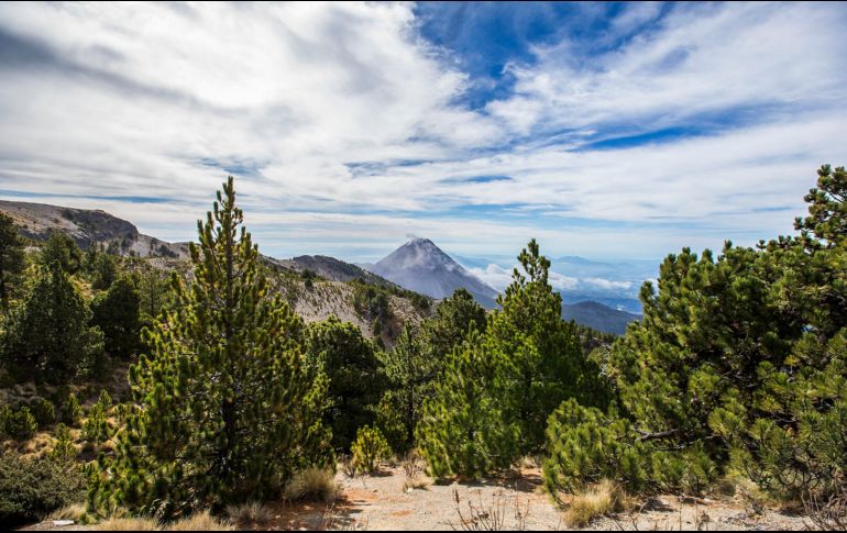 El Volcán de Colima también es llamado el Volcán de Fuego de Colima para diferenciarlo de su vecino, el Volcán Nevado de Colima. NTX / ARCHIVO
