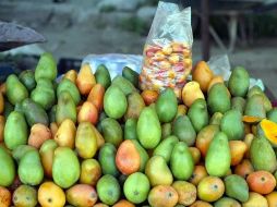 Los implicados entraron a sus casas y salieron armados con machetes, luego comenzaron a pelear entre sí por los mangos de un árbol cuyas ramas cubre los techos de 2 casas de la misma familia. EL INFORMADOR / ARCHIVO
