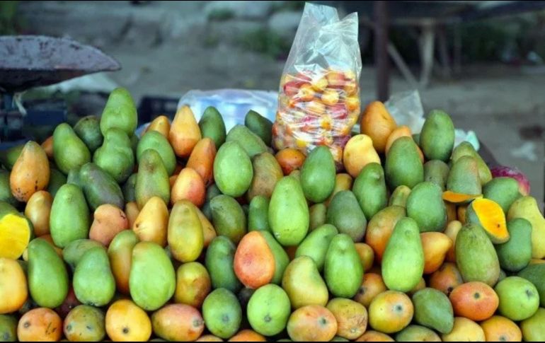 Los implicados entraron a sus casas y salieron armados con machetes, luego comenzaron a pelear entre sí por los mangos de un árbol cuyas ramas cubre los techos de 2 casas de la misma familia. EL INFORMADOR / ARCHIVO