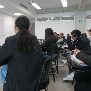 ¿Cuáles son las carreras con más práctica que teoría?