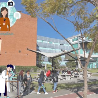 Si hoy volvieras a la universidad, ¿elegirías la misma carrera?