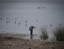 De acuerdo con expertos,  la capacidad de almacenamiento en las presas y el lago de Chapala no garantizará el abasto de agua para la ZMG. EL INFORMADOR/ ARCHIVO