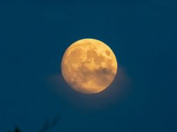 Entérate qué le depara a tu signo zodiacal con la segunda súperluna llena del año. ESPECIAL/pixabay