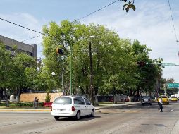 En la actual administración estatal se trabaja para generar políticas públicas y cumplir con los tratados internacionales, la Constitución y la Ley Federal del Trabajo, que están en contra del trabajo infantil. EL INFORMADOR / ARCHIVO