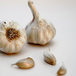 ¿Qué pasa si consumo un ajo todos los días?