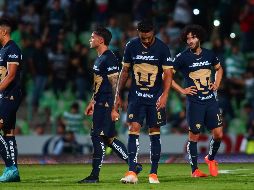 Los Pumas se estancan en el octavo sitio con 9 unidades. IMAGO7