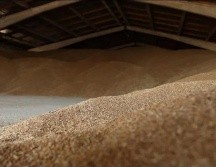 El presidente turco Recep Tayyip Erdogan, se encuentra en la búsqueda de establecer acuerdos, con el objetivo evitar una crisis alimentaria en partes de África, Medio Oriente y África. AFP/ Archivo