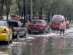 Se prevé que mañana martes, en la ciudad, amanecerá con probabilidad de chubasco disperso, justo como sucedió este lunes. EL INFORMADOR / ARCHIVO
