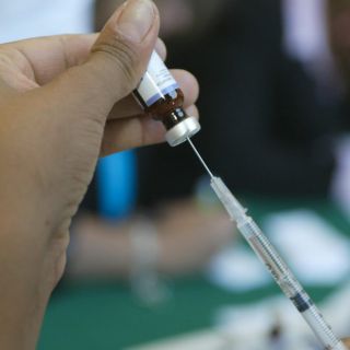 La Cofepris alerta por vacuna contra dengue que no se debe aplicar en niños