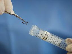 La Secretaría de Salud Jalisco trabajará durante esta semana en nuevas colonias con brigadas para realizar acciones contra el dengue. AP / ARCHIVO