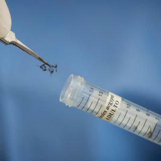 Siguen en aumento los casos de dengue en Jalisco