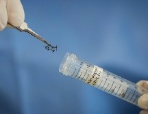 La Secretaría de Salud Jalisco trabajará durante esta semana en nuevas colonias con brigadas para realizar acciones contra el dengue. AP / ARCHIVO