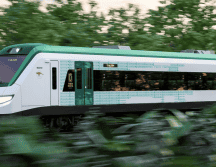 A finales de este 2023 empezarán los primeros viajes del Tren Maya por lo que ya se ha revelado quiénes podrán viajar gratis. Cortesía @Fonatur.
