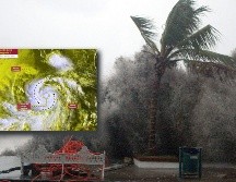 pronóstico Según el pronóstico, 