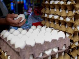 El huevo se mantuvo más o menos estable, de 48.9 pesos el kilo subió a 50.8 pesos en los últimos 12 meses. EL INFORMADOR / ARCHIVO