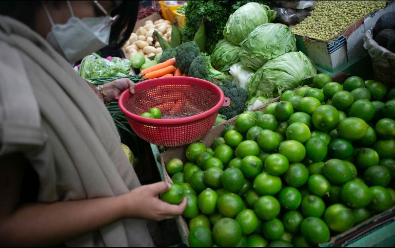Citricultores han sufrido la paralización de labores y la extorsión por parte de grupos criminales. EL INFORMADOR / ARCHIVO
