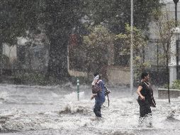 Luis Valdivia Ornelas, profesor investigador del Departamento de Geografía y Ordenación Territorial, explicó que en la evaluación de los catálogos históricos actuales acerca del fenómeno de inundación contabilizaron 570 sitios. EL INFORMADOR / ARCHIVO