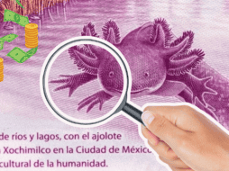 Si eres afortunado, bien podrías tener varios miles, o incluso millones de pesos, condensados en ese billete/  ESPECIAL/ Banco de México