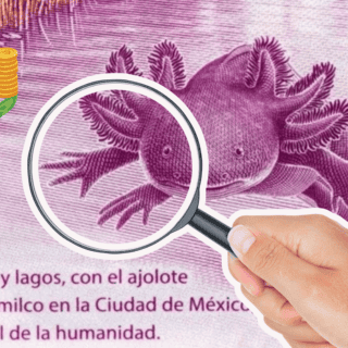 ¿Tienes alguno? Estos son los billetes de 50 pesos con el ajolote que valen millones