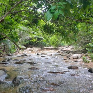 El hermoso río de fácil acceso a minutos del centro de Vallarta (FOTOS)