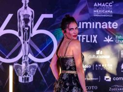 Dentro de unas horas se conocera a los grandes ganadores de la 65 edición de los Premios Ariel. EL INFORMADOR/A. Navarro