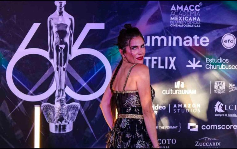 Dentro de unas horas se conocera a los grandes ganadores de la 65 edición de los Premios Ariel. EL INFORMADOR/A. Navarro