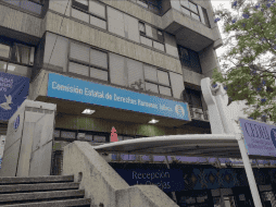 La diputada local de Morena, Yussara Canales, propuso un acuerdo legislativo para que se haga efectiva la petición. EL INFORMADOR/ARCHIVO