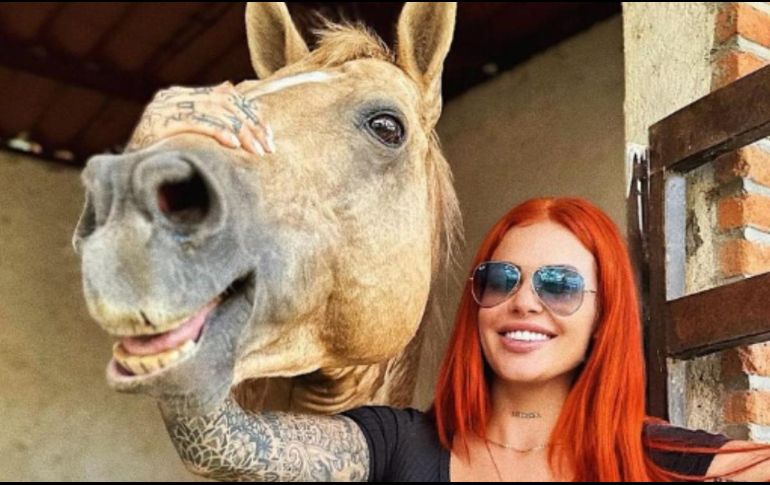 La mujer que salva a los caballos maltratados. ESPECIAL / Instagram @elenaypunto