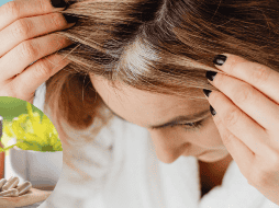 Las canas indican que el cabello comienza a perder la pigmentación. ESPECIAL