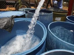 El Siapa detalló que el servicio será restablecido durante la mañana del próximo lunes 18 de septiembre. EL INFORMADOR / ARCHIVO