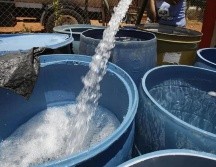 El Siapa detalló que el servicio será restablecido durante la mañana del próximo lunes 18 de septiembre. EL INFORMADOR / ARCHIVO