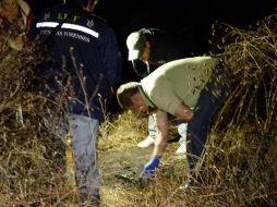 De enero a julio de este año van 22 víctimas de feminicidio en Jalisco. EL INFORMADOR/Archivo