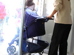 Esta reforma busca incluir permisos de ausencia laboral, con goce de sueldo, para las madres trabajadoras y jefas de familia, cuando sus hijos menores de edad estén enfermos de gravedad. EL INFORMADOR / ARCHIVO