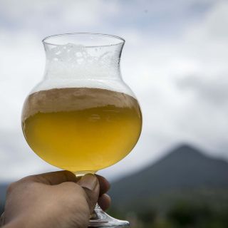 ¿Cuál es la cerveza más cara del mundo?