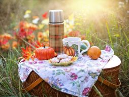 En el transcurso del evento, se presentará una obra icónica de la compositora estadounidense Laurie Spiegel, y se contará con la presencia de un planetario. Pixabay