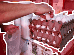 Yucatán, el principal productor de huevo de México. EL INFORMADOR / ARCHIVO